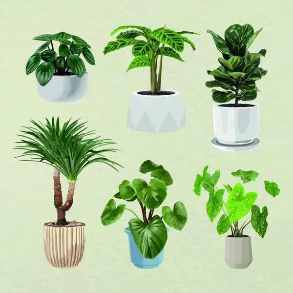 Plantes Pots Plantes Intérieur Illustration Vectorielle — Image vectorielle