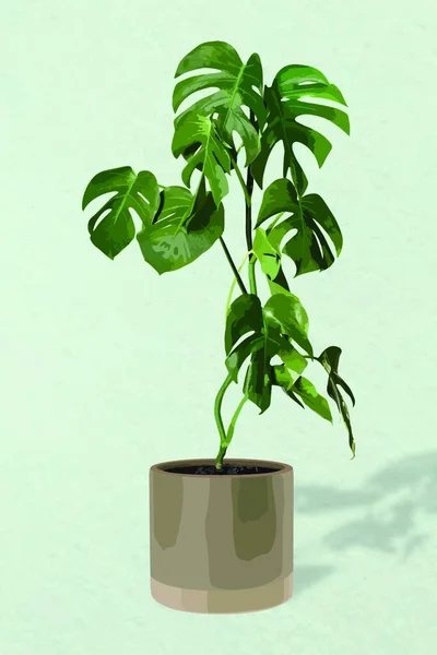 Растение Векторной Иллюстрации — стоковый вектор