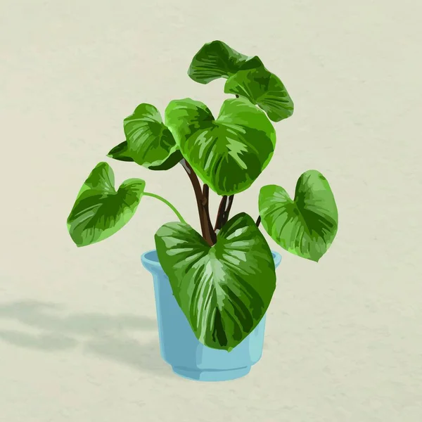 Plant Pot Vector Illustration — Stock Vector
