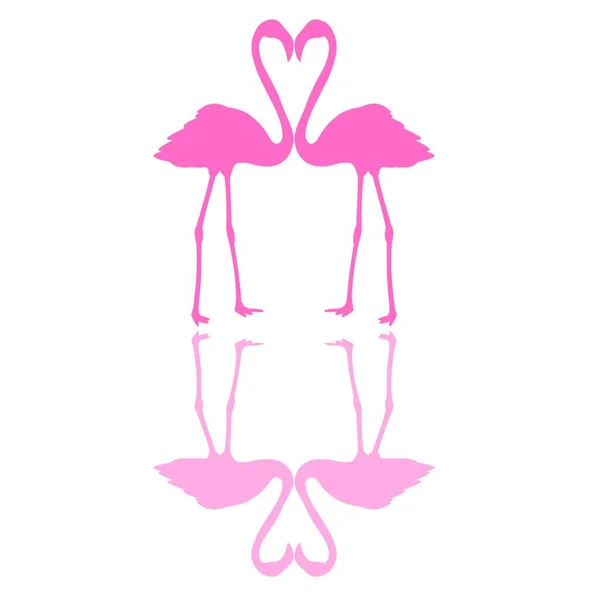 Dua Pink Flamingo Vektor Ilustrasi - Stok Vektor