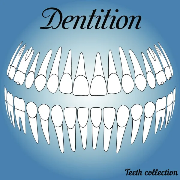 Зубні Записи Вектор Зубів — стоковий вектор