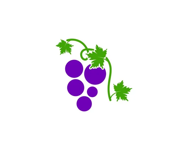 Weintraube Mit Blättern Abbildung — Stockvektor