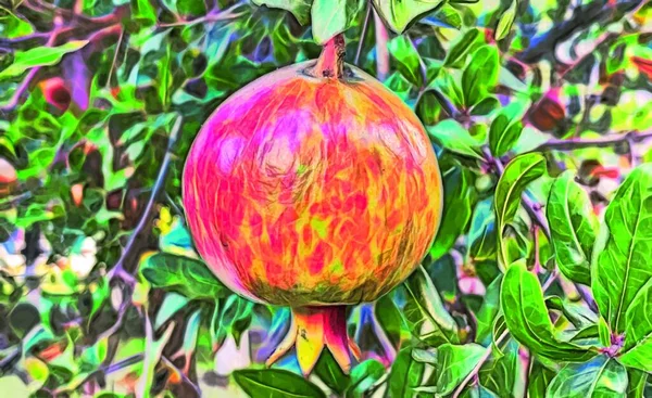 Φράκταλ Τέχνη Ρόδι Πράσινα Φύλλα Και Φρούτα Στη Φύση — Διανυσματικό Αρχείο