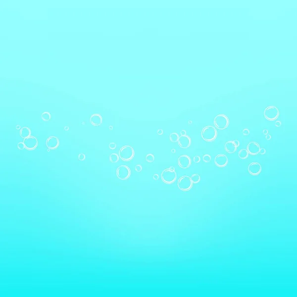 Realistic Water Bubbles Vector — Stock Vector