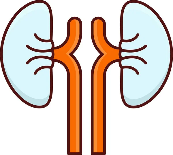 腎臓のアイコン ベクトル図 — ストックベクタ