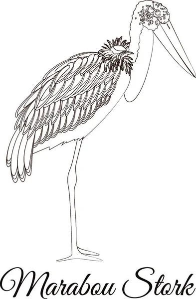 マラブーコウノトリ漫画鳥の着色 — ストックベクタ