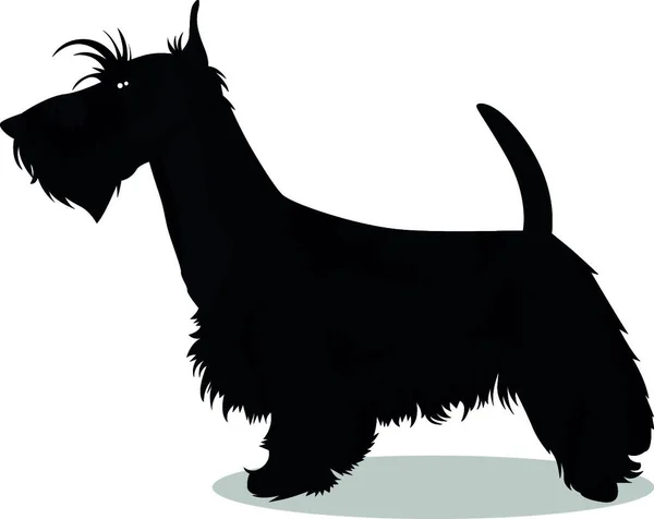 Cão Terrier Escocês Ícone Vetor Ilustração —  Vetores de Stock