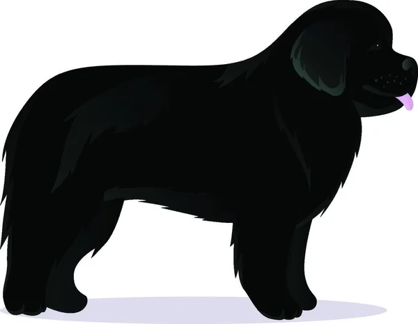 Newfoundland Köpeği Siyah Vektör Çizimi — Stok Vektör