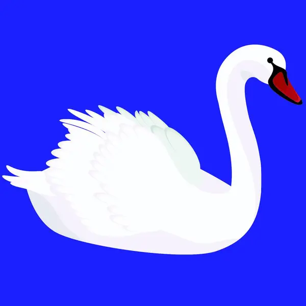 Cisne Branco Fundo Azul — Vetor de Stock