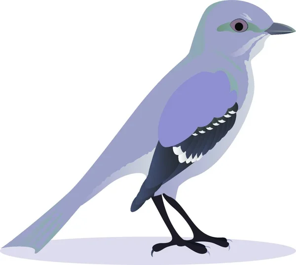 Oiseau Moqueur Illustration Vectorielle Colorée — Image vectorielle