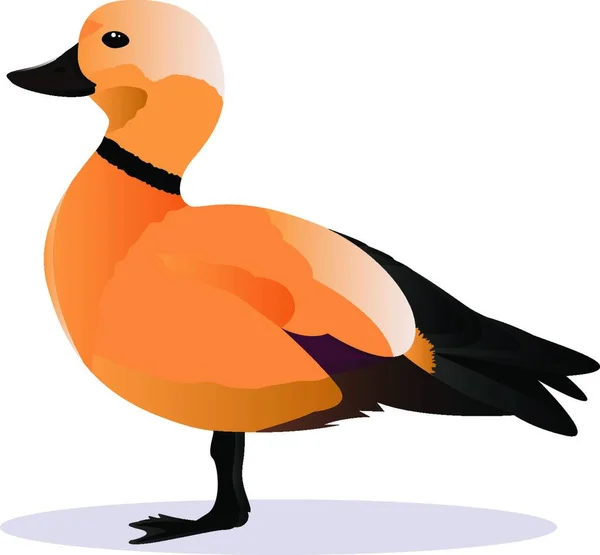 Uccello Orco Illustrazione Vettoriale Colorata — Vettoriale Stock