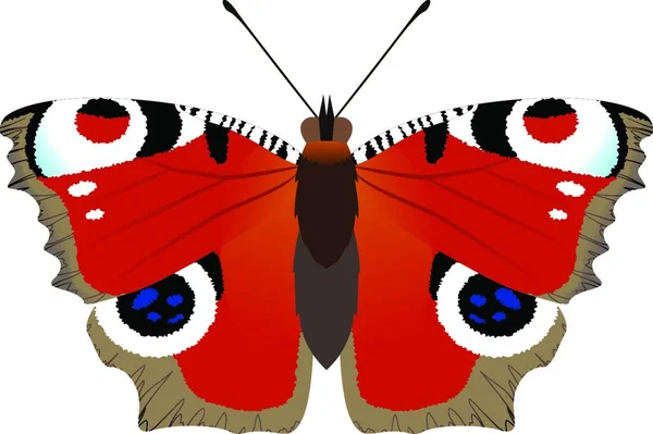 Motyl Skrzydłami Ilustracja Sztuki Twórczej — Wektor stockowy