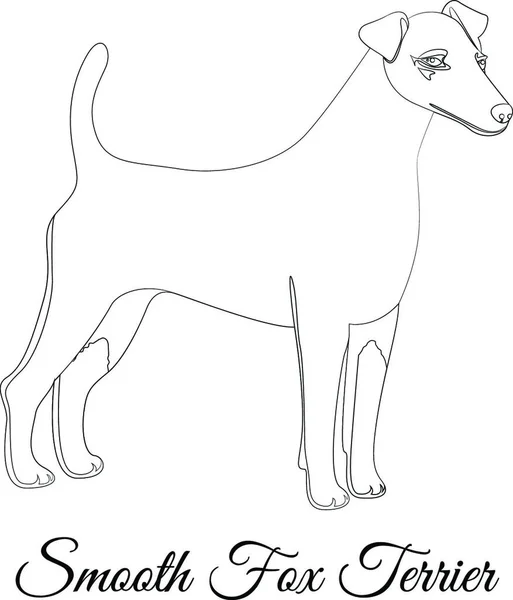 滑らかなキツネのテリア犬の概要 — ストックベクタ