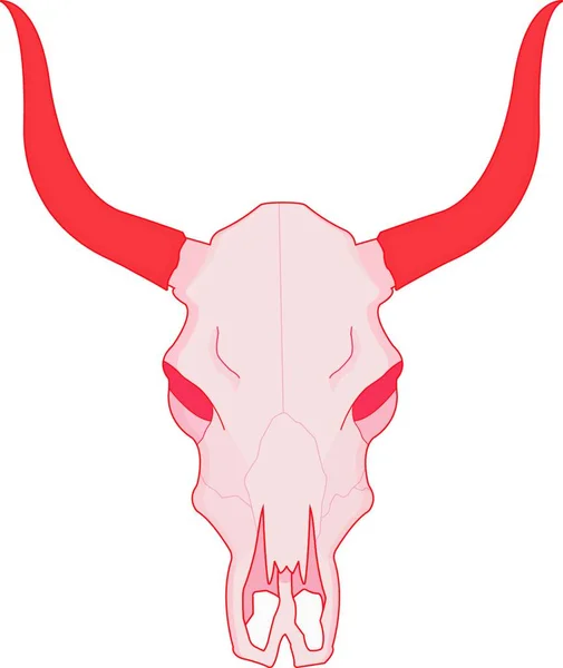 Kráví Lebka Obrázek Vektoru Barev — Stockový vektor
