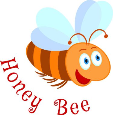 Honey Bee, simple vector illustration 