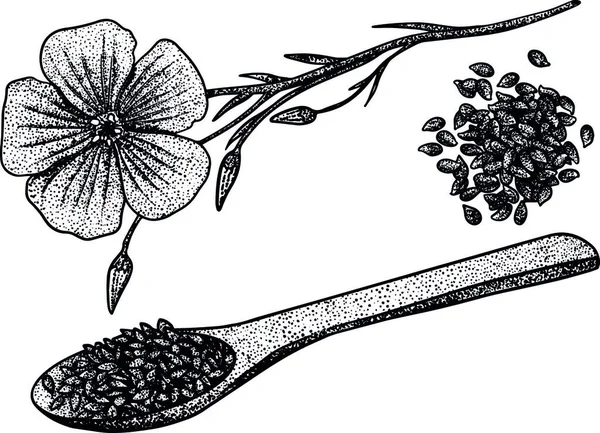 Çizimi Keten Tohumu Vektör Çizimi Kozmetik Ürünler Yiyecekler Için Kullanın — Stok Vektör