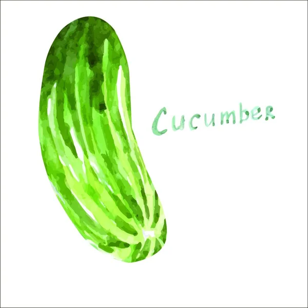 Watercolor Cucumber Icon Vector Illustration — Stock Vector