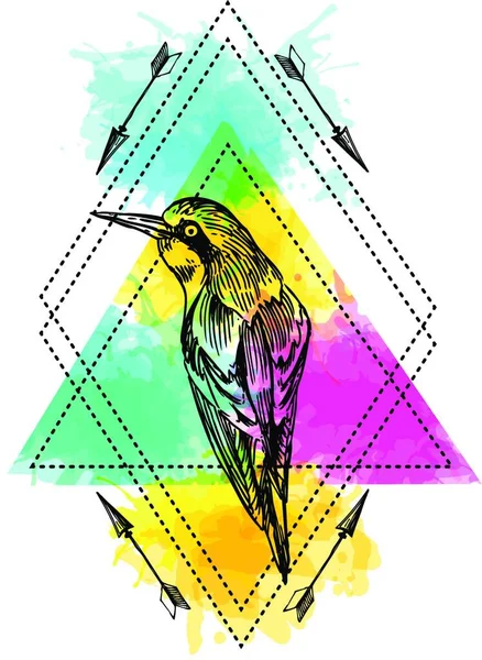 Oiseau Aquarelle Illustration Vectorielle — Image vectorielle