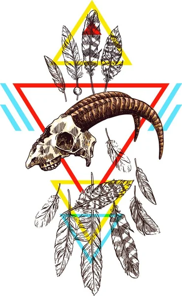 Ilustrare Craniu Animal Vector — Vector de stoc