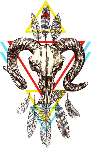 Illustration Animal Skull Vector — Stock Vector
