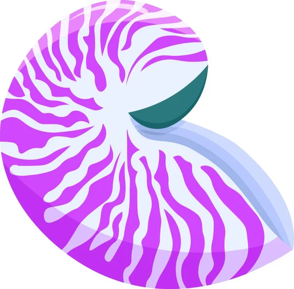 Mořská Mušle Vektorová Ilustrace Nautilus Izolovaná Bílém Pozadí — Stockový vektor