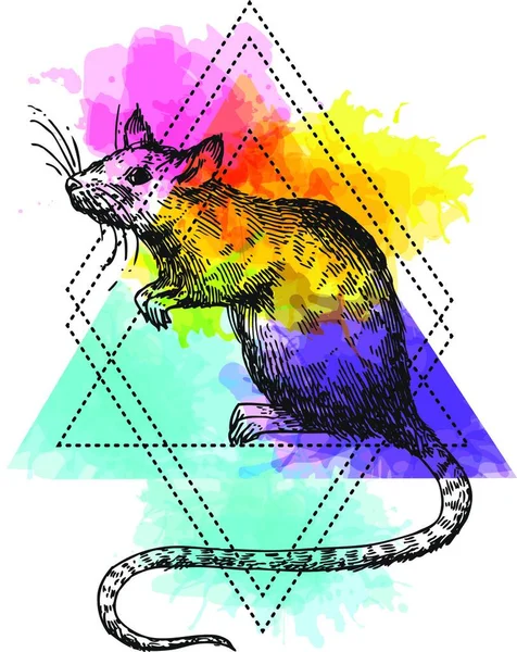Szczur Szkic Ilustracji Wektorowych Ręcznie Rysowany Obraz Myszką — Wektor stockowy