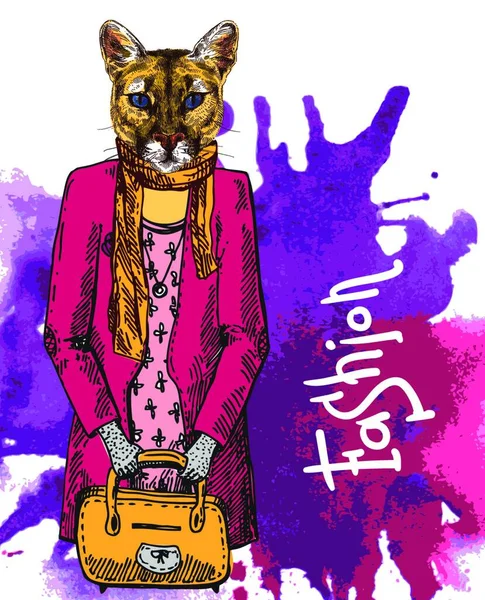 Mignon Personnage Lion Illustration Vectorielle Colorée — Image vectorielle