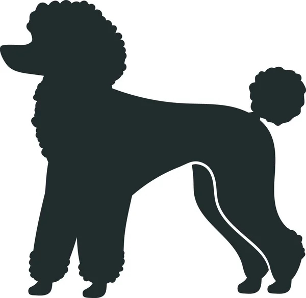 Poodle Silhouette Decorative Domestic Shaggy Dog Vector Icon — Stock Vector