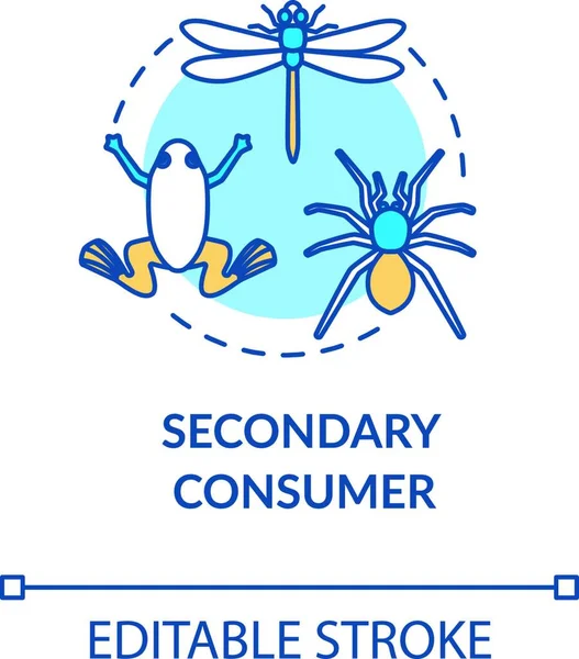 Icône Concept Consommateur Secondaire Chaîne Alimentaire Pâturage Amphibien Insectes Illustration — Image vectorielle
