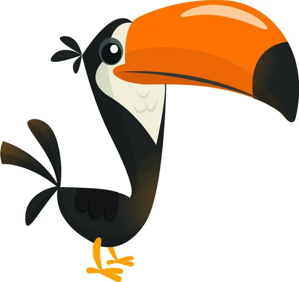 Toucan Cartoon Vector Toucan Bird Exotic Colorful Bird Illustration — Stock Vector