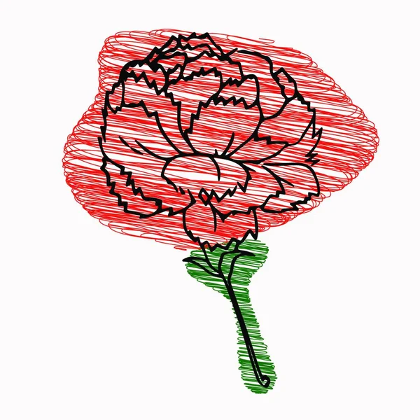 卡拉尼斯草图雕琢童话般画出的花朵图标或标志 Web图标简单的细线向量图标 矢量图解 Eps — 图库矢量图片