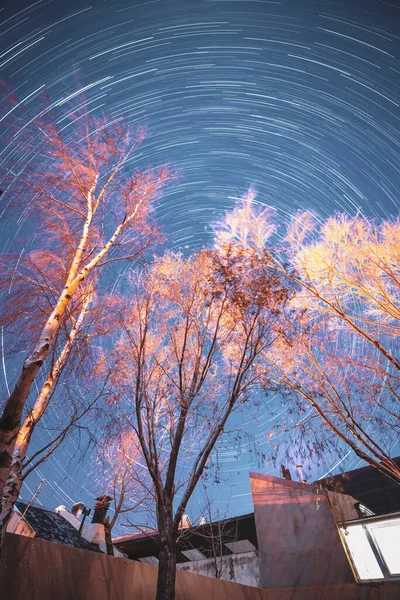 Trees Star Trail Fotografía Nocturna — Foto de Stock