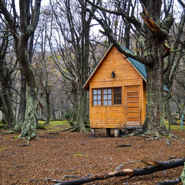 stock image old house in the woods