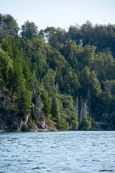 湖と森の美しい景色 — ストック写真