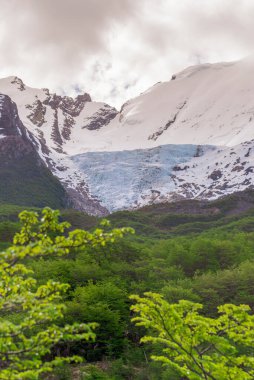 Arjantin 'deki Chalten Ulusal Parkı' nda Huemul Buzulu