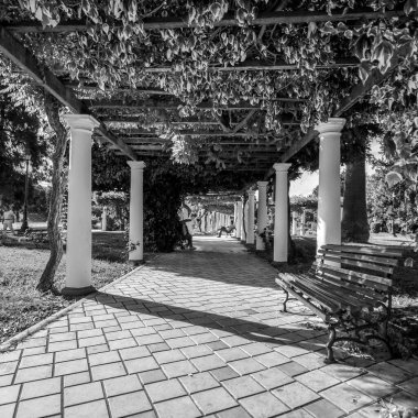 Şehir parkının güzel manzarası ve boş bir bank.