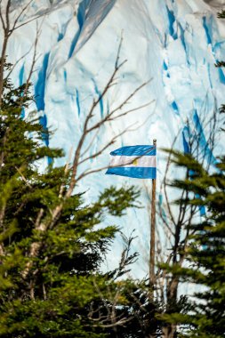 Patagonya 'nın arka planında Arjantin bayrağı ve Perito Moreno buzulu sallanıyor..