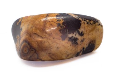 Macro focused Polished Brown and beige cappuccino Jasper Chalcedony tumbled crystal stone isolated on a white  surface background