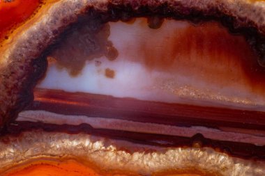 White, dark and light orange and red semi-transparent agate slice crystal, banded chalcedony stone isolated on a white background surface with detail. Abstract crystal image with lots of copy space