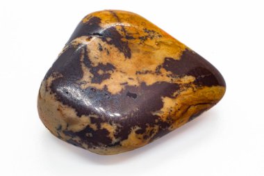 Macro focused Polished Brown and beige cappuccino Jasper Chalcedony tumbled crystal stone isolated on a white  surface background