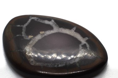 Ejder Taşı, Septarian Jeodu, beyaz yüzeydeki parlak kristal karyola. Karbonat mineral kahverengi ve beyaz mineral damarları izole edilmiş siyah değerli taş jeot..