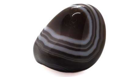 Small shiny polished Botswana Agate Chalcedony, a colorful distinctly layered crystal with white, brown and black bands. Banded Agate tumbled stone on white surface isolated clipart