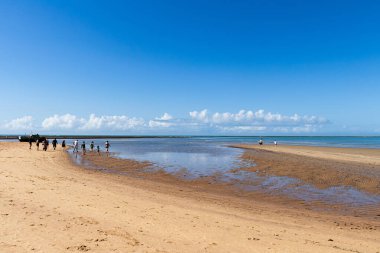 Musa 'nın yolunda yürüyen bir topluluk. Phenomenon, Brezilya 'nın Bahia eyaletinin Porto Seguro kentindeki Praia de Coroa Vermelha' da nehir ile buluşmasıyla gerçekleşti..