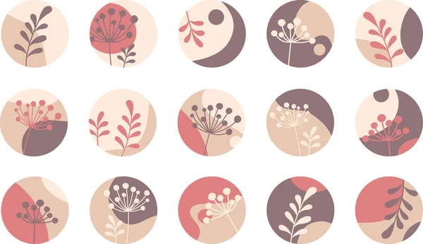 Highlight Cover Set Icônes Botaniques Abstraites Pour Les Médias Sociaux — Image vectorielle