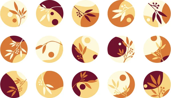 秋色社交媒体的高亮封面 抽象植物学图标 — 图库矢量图片