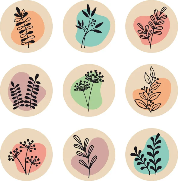 Eine Reihe Von Highlights Geschichten Deckt Mit Pflanzen Vektorillustration — Stockvektor