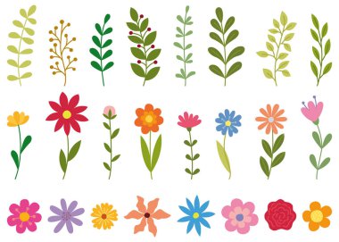 Çeşitli botanik elementlerin vektör kümesi. Renkli çiçek ve yaprak koleksiyonu.