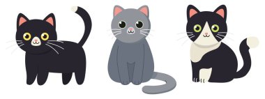 Üç sevimli kedinin vektör çizimi. Renkli düz konsept