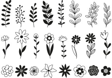 Siyah beyaz çeşitli botanik elementlerin vektör kümesi. Çiçek ve yaprak koleksiyonu.