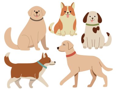 Beş sevimli köpeğin vektör çizimi. Renkli düz konsept